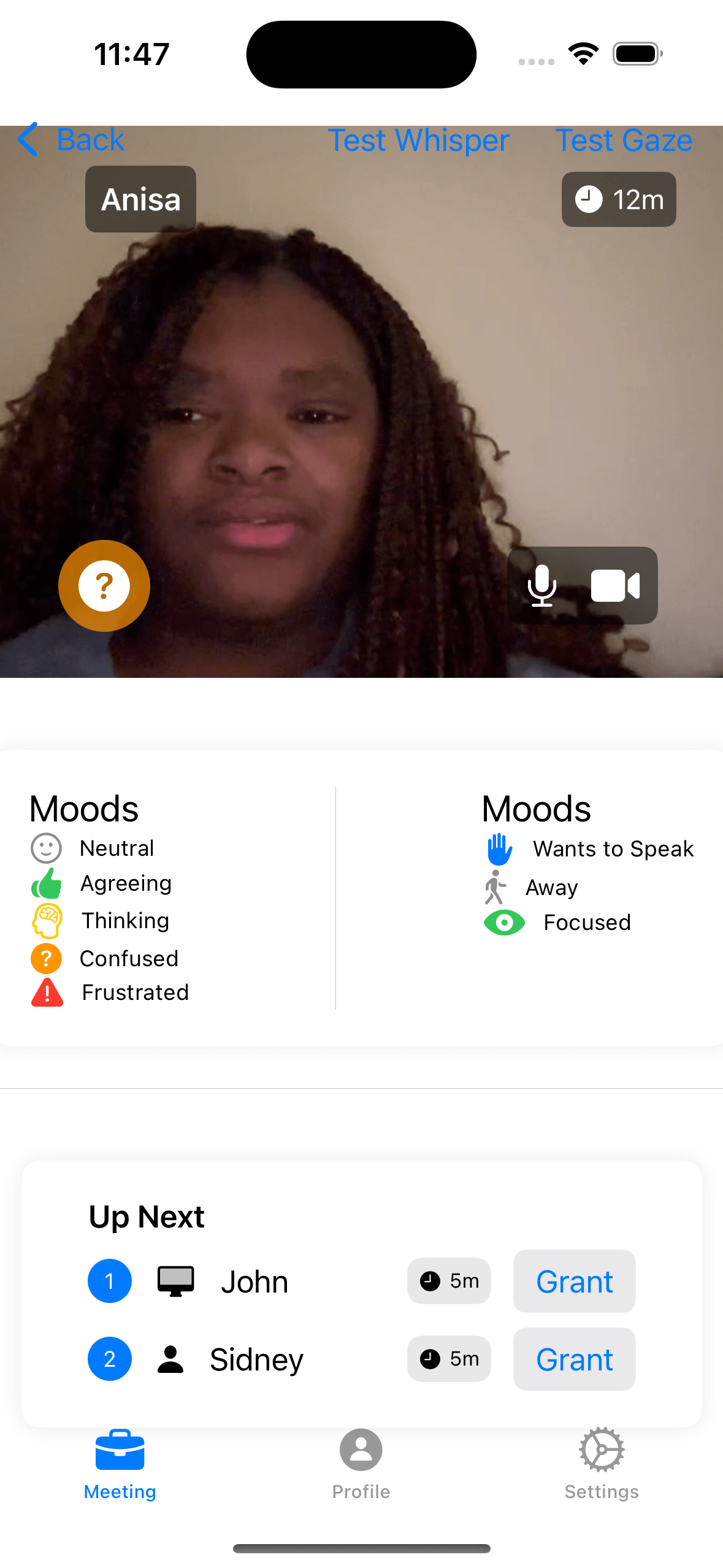 iPhone screen showing the ProxyBridge iOS app meeting dashboard